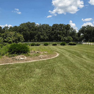 LAWN CARE